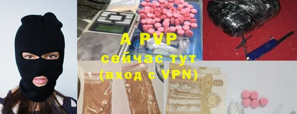 бошки Снежногорск