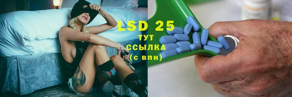 прущие грибы Беломорск