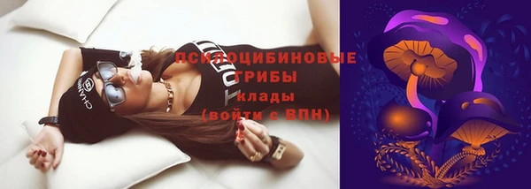 ешки Белоозёрский