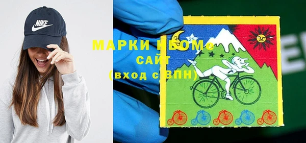 прущие грибы Беломорск